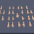 Array of Diverse Hands in Various Poses Arranged Neatly on Gray Background