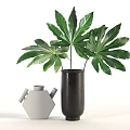 Gray Hexagonal Vase With Handles And Black Cylindrical Vase Holding Green Leafy Plants