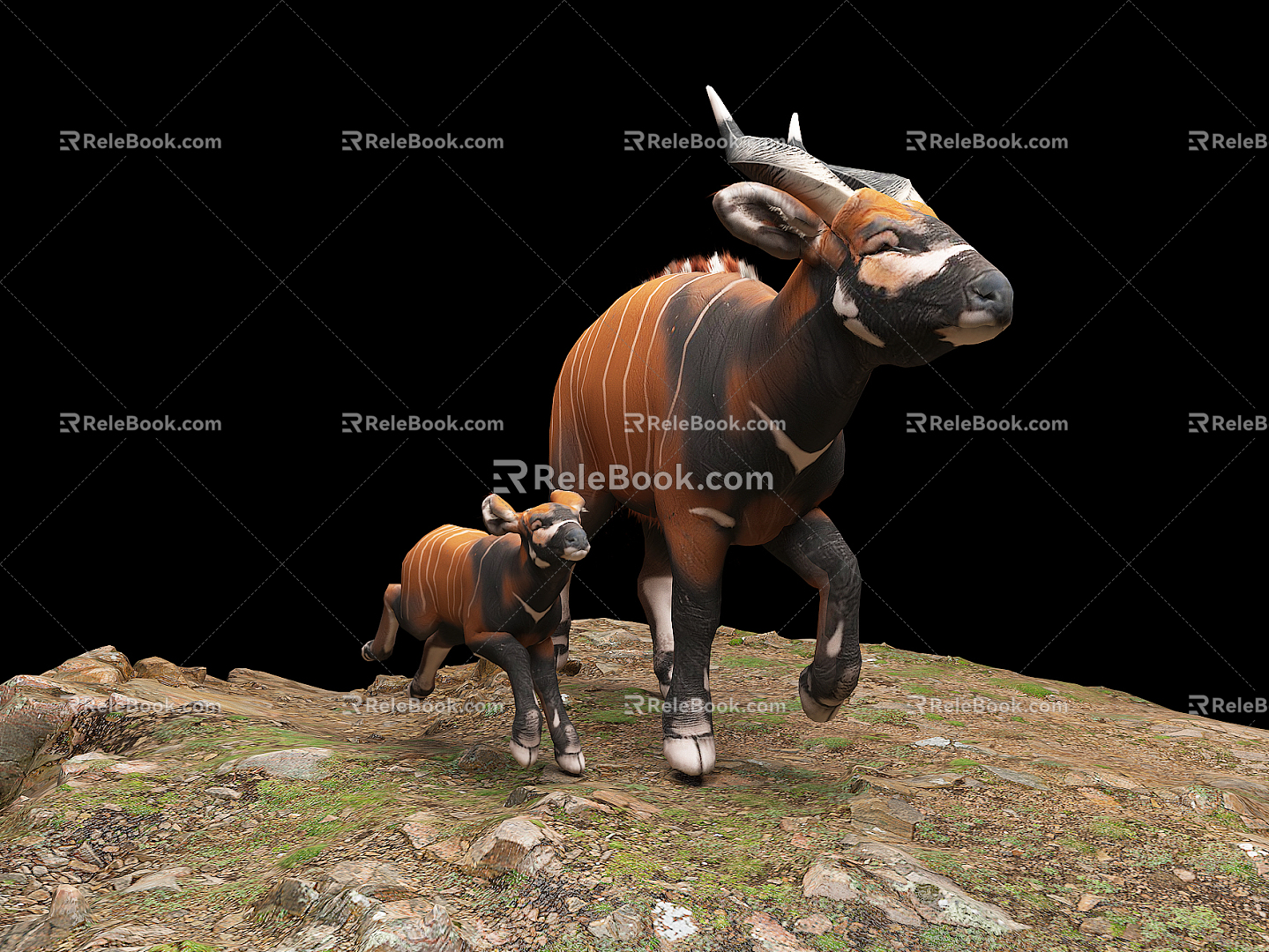 Modern Bongo Antelope 3d model