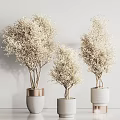 Elegant Decorative Bonsai Potted Plants In White Ceramic Pots With Copper Accents For Indoor Decor