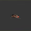 Vibrant Striped Cicada With Red Body Black Head And Yellow Striped Wings