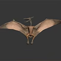 Pterosaur Model Displaying Spread Wings In Standing Pose On Dark Reflective Background 3d model