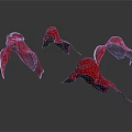 Four Red Cloak Shaped Decorative Items Floating On White Surface