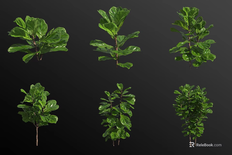 Various Hanging Basket Plants With Lush Green Leaves And Different Growth Shapes 3d model 