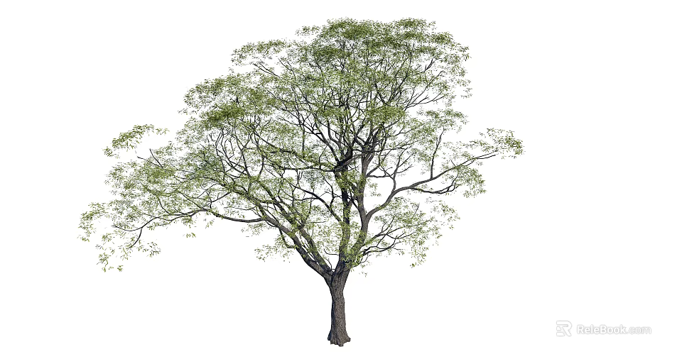 Tall Arbor With Lush Green Foliage And Thick Trunk In Natural Growth 3d model 