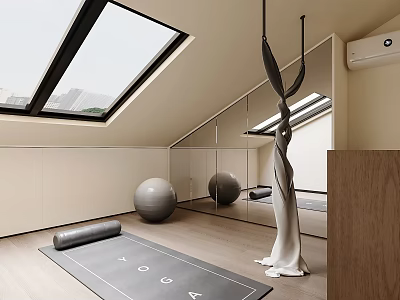 Minimalist Yoga Space With Skylight Mirror Yoga Mat Balls And Hanging Hammock 3d model