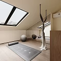 Minimalist Yoga Space With Skylight Mirror Yoga Mat Balls And Hanging Hammock