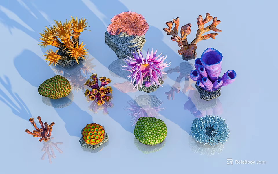 Colorful Coral Flowers In Various Shapes And Vibrant Marine Plant 3d model 