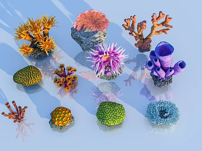 Colorful Coral Flowers In Various Shapes And Vibrant Marine Plant 3d model