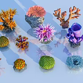 Colorful Coral Flowers In Various Shapes And Vibrant Marine Plant