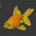 Orange and Yellow Goldfish With Scaly Texture On Black Background And Reflection 3d model
