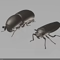 Two Metallic Beetles 3D Rendered With Shiny Shells On Dark Reflective Surface