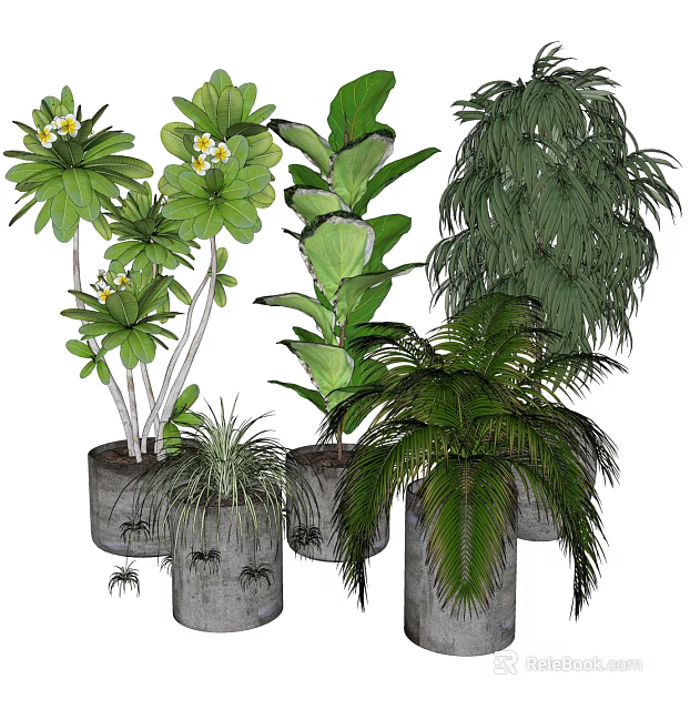 Various Types of Potted Plants with Green Leaves and White Flowers in Decorative Pots 3d model 