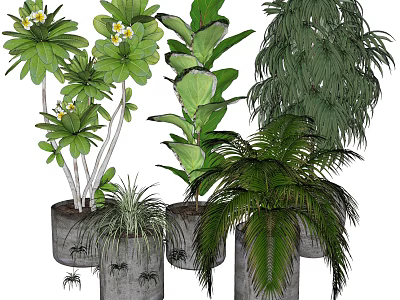 Various Types of Potted Plants with Green Leaves and White Flowers in Decorative Pots 3d model
