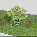 Garden Plant Combination With Green Lawn Bushes Flowering Plants And Various Heights