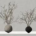 Minimalist Ceramic Vases With Twigs On White Surface And Soft Shadows 3d model
