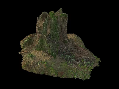 Natural Stone And Wood Tree Stump With Green Moss And Exposed Roots On Soil 3d model