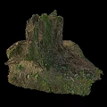 Natural Stone And Wood Tree Stump With Green Moss And Exposed Roots On Soil