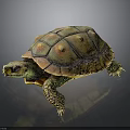 Vibrant Turtle with Orange and Green Glossy Shell Pattern on Dark Background 3d model