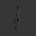 Shark Model With Open Mouth Sharp Teeth And Grey Body Texture