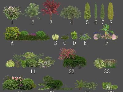 Various Types of Decorative Shrubs for Garden Landscaping and Outdoor Design 3d model