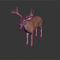 Spotted Deer With Large Antlers Standing On Gray Background With Reflection