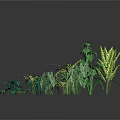 Various Green Plants With Different Leaf Types And Varied Sizes On Black Background 3d model