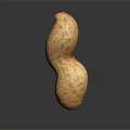 Whole Natural Peanut Pod with Rough Surface Texture Isolated on Dark Background and Clear Reflection