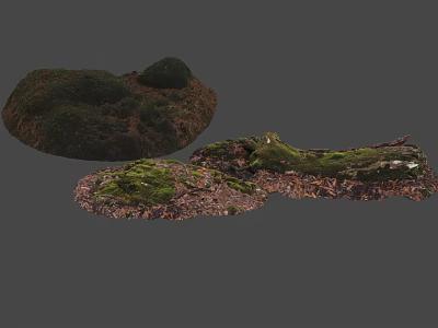 Stone Wood Natural Decorative Elements With Mossy Texture And Dried Leaves 3d model
