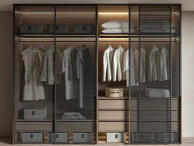 Modern Wardrobe Interior Design With Hanging Folded Clothes Drawers And Storage Compartments 3d model