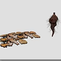 Natural Herb Root with Thorny Surface and Dried Sliced Pieces on White Background