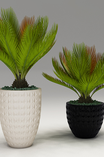 Modern Potted Plant 3d model