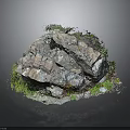 Natural Stone Rock Formation with Small Green Plants and Moss on Surface