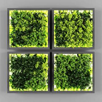 Modern Green Plant Wall Green Plant Wall Green Wall Vertical Green Plant Wall Decorations Leaf Flower Plants 3d model