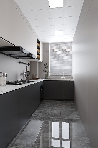 Modern Kitchen 3d model