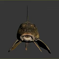 Spotted Brown And Yellow Fish With Prominent Fins Detailed Body Structure Against Dark Background