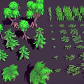 Various Green Plants Including Trees Shrubs And Ferns As 3D Models On Dark Background