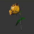 Orange Rose With Layered Petals And Green Leaves On Gradient Background