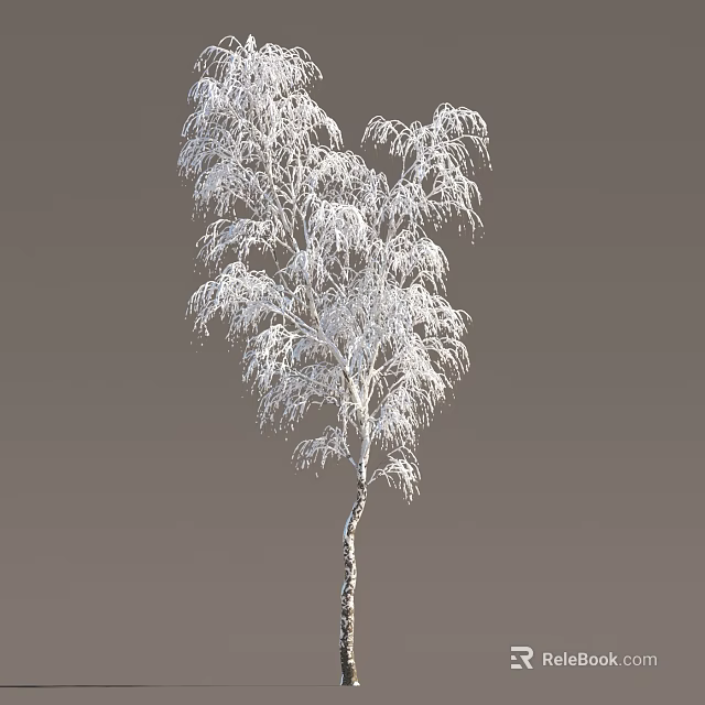 Snow Covered Tree With White Frosted Branches Against Plain Gray Background 3d model 