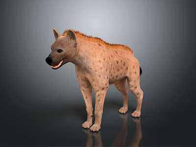 Modern Dog Wild Dog Dog Toy Toy Dog 3d model