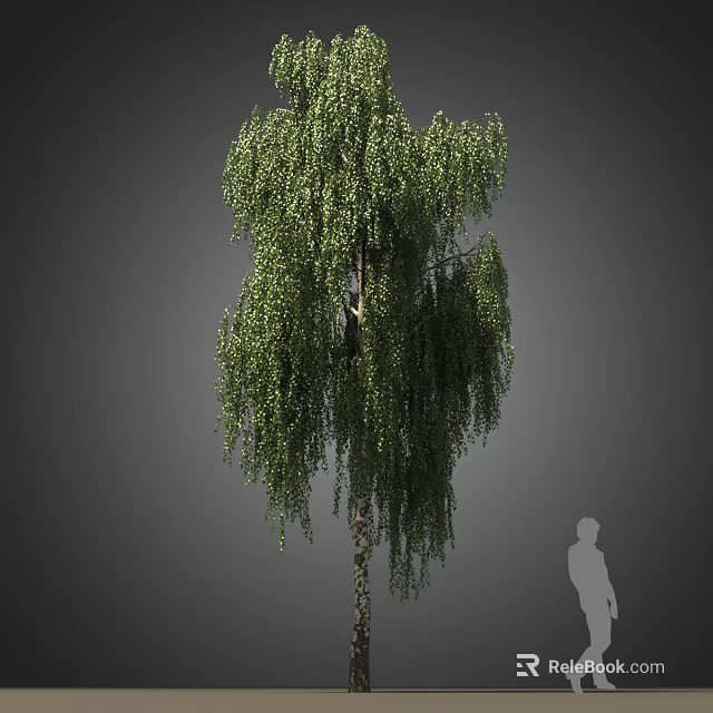 Tall Weeping Willow Arbor with Drooping Green Leaves and Human Figure for Scale 3d model 