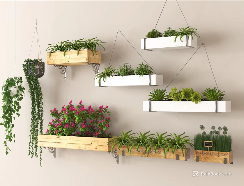 Various Hanging Basket Plants On Wooden And White Shelves For Indoor Decor 3d model 