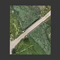 Scenic Stone Arch Bridge Surrounded by Lush Green Vegetation With Adjacent Road
