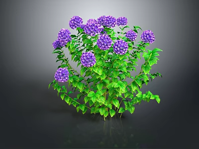 Lush Green Bush with Vibrant Purple Hydrangeas and Fresh Leaves 3d model