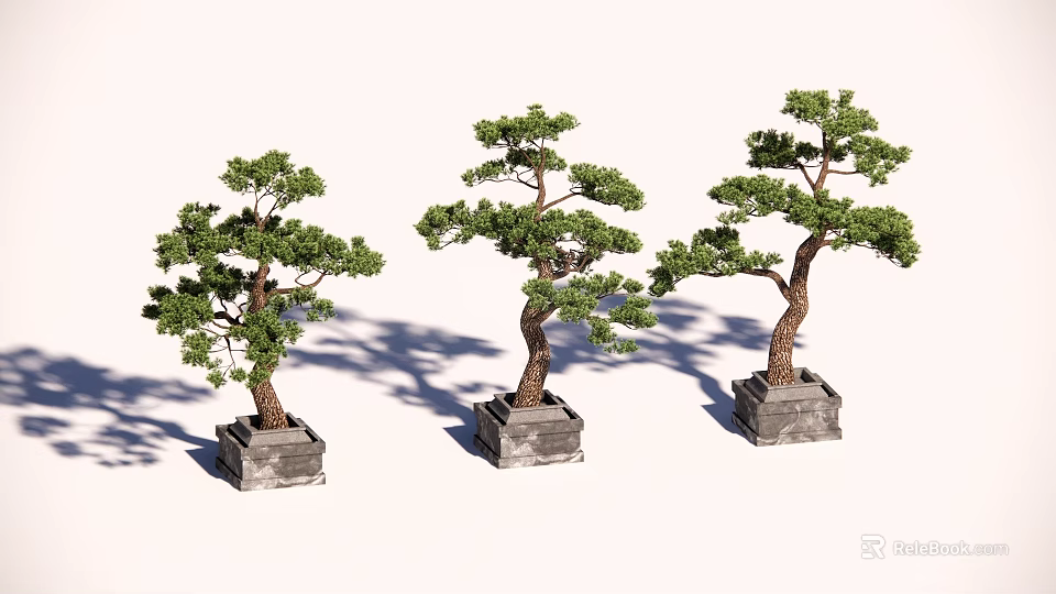 Three Potted Bonsai Trees With Green Foliage In Stone Pots 3d model 
