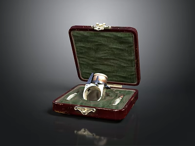 Decorative Ring Weapon Inside Open Red Case With Green Lining And Gold Trim 3d model