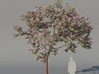 Apple Tree with Pink Blossoms Green Leaves and Brown Trunk in Outdoor Scene 3d model