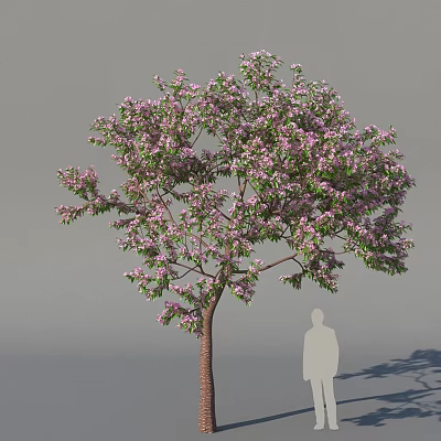 Apple Tree with Pink Blossoms Green Leaves and Brown Trunk in Outdoor Scene 3d model