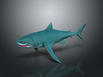 3D Green Shark Model With Open Mouth And Dark Background 3d model