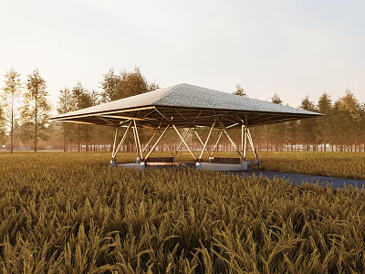 Scenic Modern Landscape Pavilion in Wheat Field with Metal Frame and Sunset View 3d model